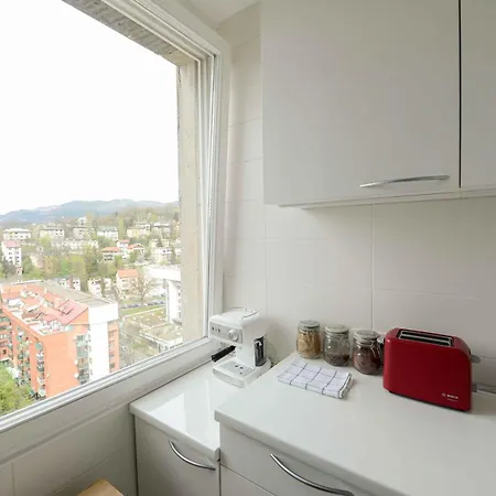 Apartment Dvor Center